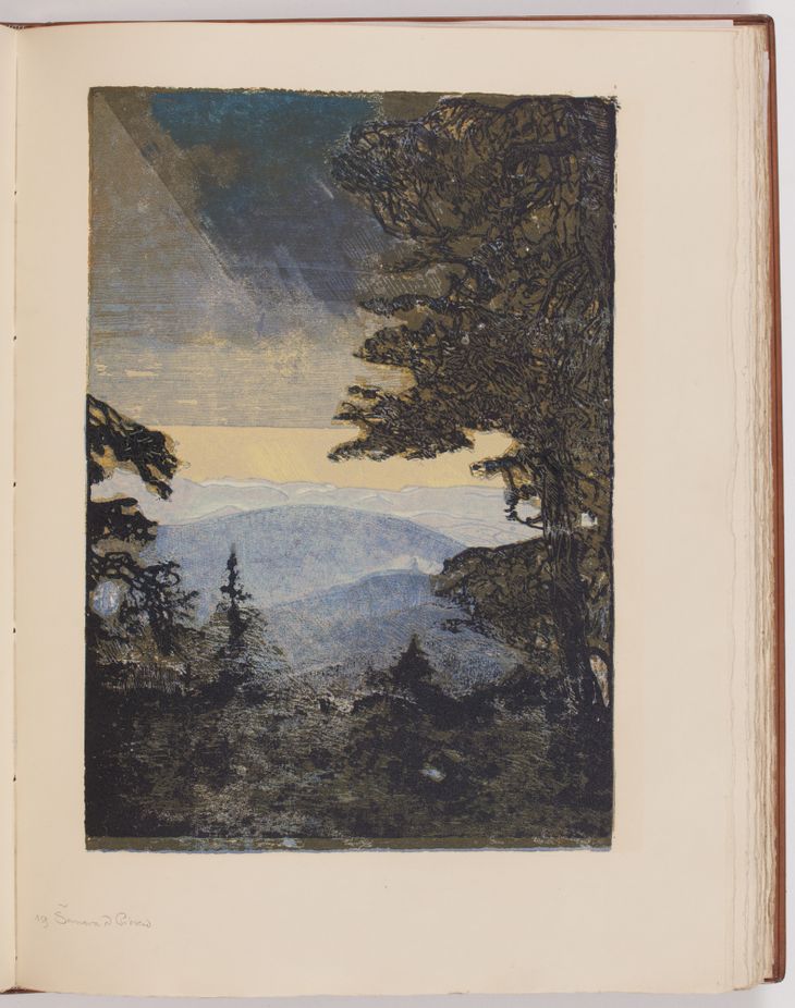 Šumava umírající a romantická - 1